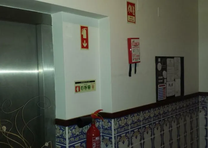 D. Fernando * Визеу